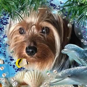 Meet your Posher, Sandra